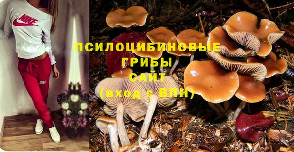 2c-b Дмитровск